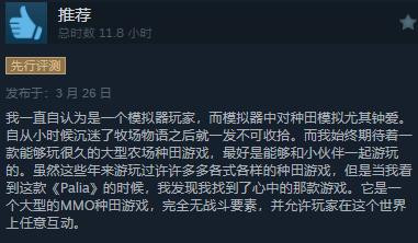 社区模拟休闲生活MMO游戏《Palia》Steam免费推出 综合评价“褒贬不一”(图2)